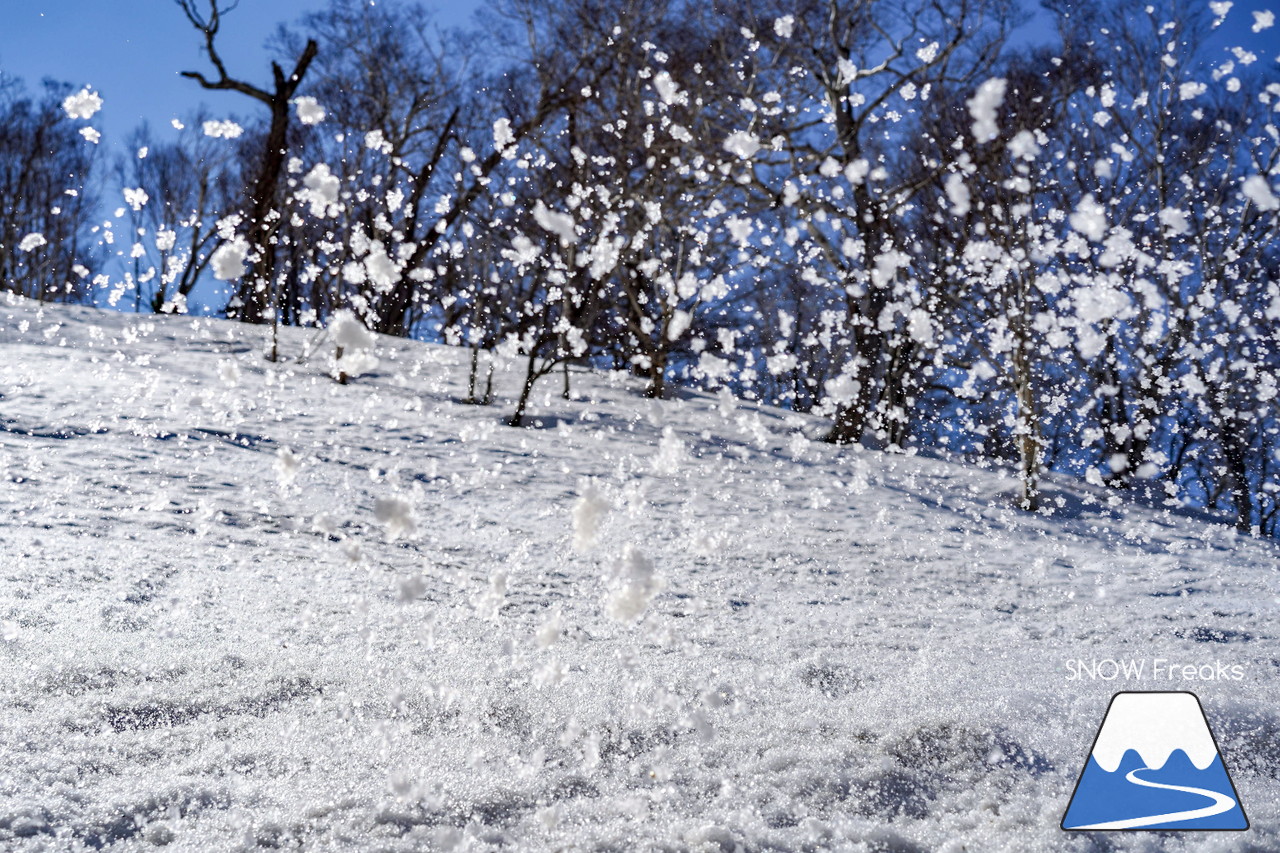 ニセコグラン・ヒラフ DYNASTAR SKI TEST RIDE DAYS Photo Session!!最高の天気に恵まれたニセコに、最高の仲間たちが集まりました☆